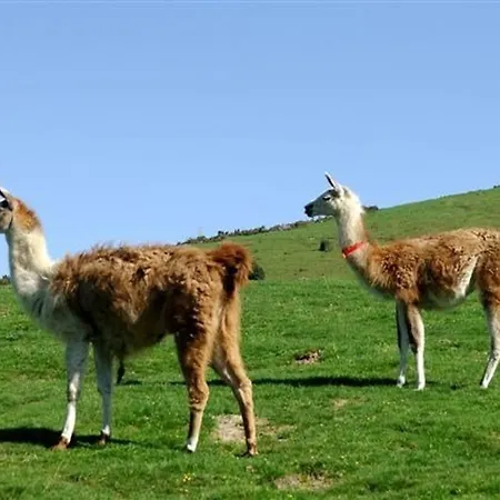 Апартаменты 4 Pers, Pied Des Pistes, Sud, - Fr-1-404-92